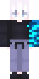 Player Skin
