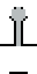 Player Skin