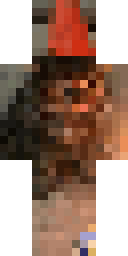 Player Skin