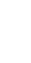 Player Skin