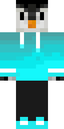 Player Skin