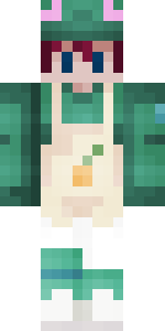 ryokatadori's Minecraft skin