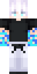 Player Skin