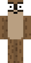Player Skin