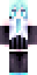 Player Skin