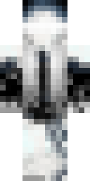 Player Skin