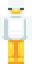 Player Skin