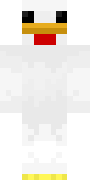 Player Skin