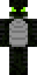 Player Skin