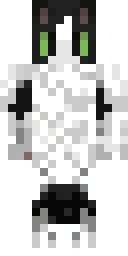 Player Skin