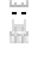 Player Skin