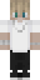 Player Skin