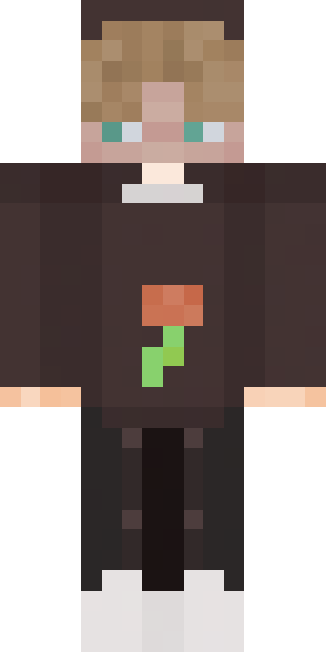 Skin de Ev0ze