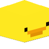 xuqd head