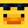 DunkleEnte skin