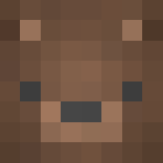 Colbearthebear