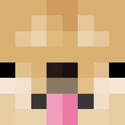 TheMagicDoge