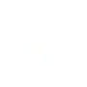 nuS