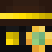 sanhous