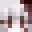 Minecraft Skin